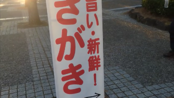 八景島駅前旗矢印下